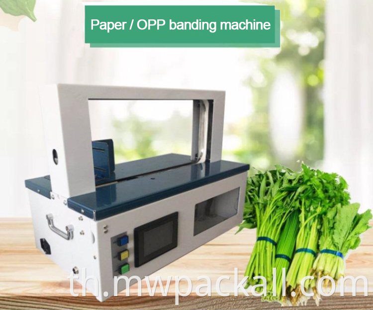 Bundle เครื่องนับเงินสด ขายร้อน Table Top Banding Machine เทปกระดาษบรรจุเครื่องรัดกล่อง